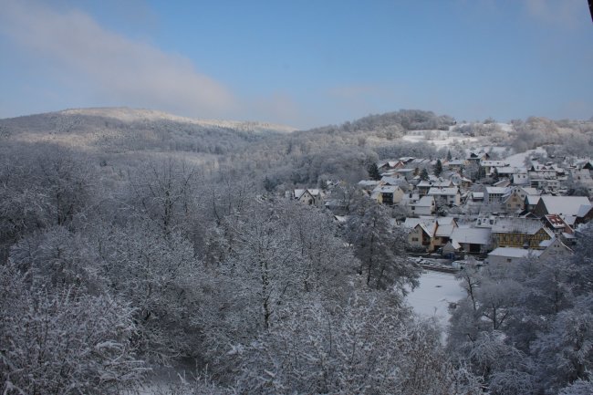 Winter 14.02.2009 002.jpg